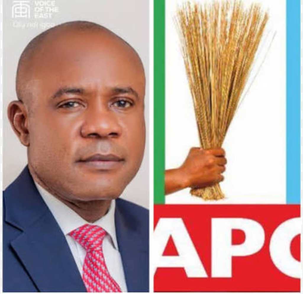 Professional Group Backs Enugu Governor’s Move From PDP to APC, Says Mbah’s Move Is About Destiny, Not Politics